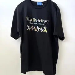 ディズニーリゾート　Tシャツ　L