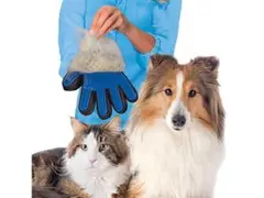 Item thumbnail for item e7a6293e-272a-4f1b-a244-8a3c47a011d1