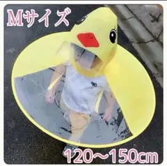 Item thumbnail for item 83dd0914-3ae4-4249-b885-4e2e4e6b1c0b