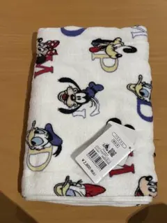 ディズニー ストア夏祭りくじ2025 バスタオル
