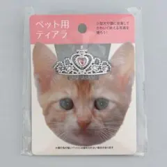 Item thumbnail for item addf25e4-3842-4ee8-bba5-3bbec6db46c1