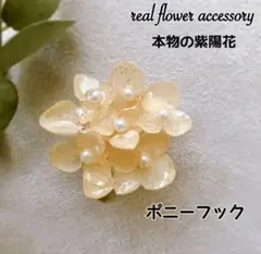 sale 本物の紫陽花 ドライフラワー ポニーフック