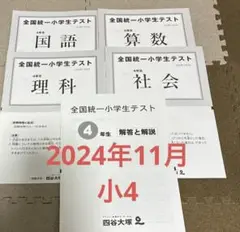 全国統一小学生テスト 2024年 11月