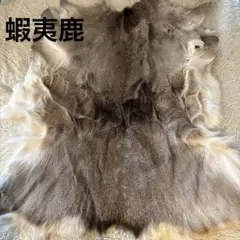 天然日本鹿　冬毛　ラグ m92136257384_1.jpg?1724327588