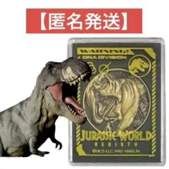 【匿名発送‼️2点❗️T-REX】ジュラシック・ワールド フィギュア メダル
