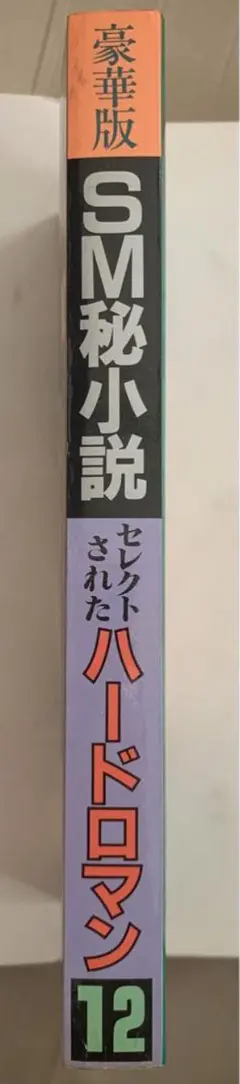 絶版】SM秘小説88年2月～90年4月 人妻乱身調書④結城彩雨(桐丘裕詩&鬼頭暁 絶版】SM秘小説88年2月～90年4月 人妻乱身調書④結城彩雨(桐