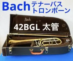 Item thumbnail for item 77acd222-e9f7-4799-9bb7-338738b5b11d