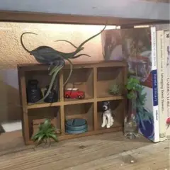 DULTON ダルトン 6パーテーション ウッデンボックス 木箱 ウッドボックス