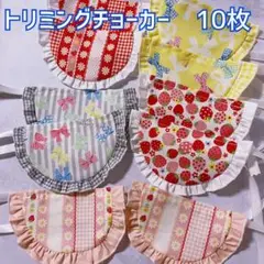 トリミングチョーカー スタイ リボン いちご 10枚