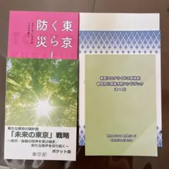 未来の東京戦略 都庁対策セット