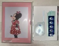 ディズニー 写真集 ミッキーマウスと仲間たち ドナルドダック