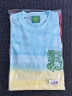 ワンチャンフェス　Tシャツ　2025