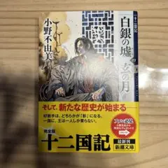 白銀(しろがね)の墟 玄(くろ)の月 第4巻