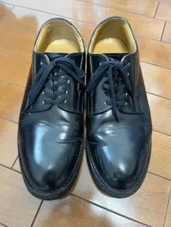 Dannerダナー ポストマンシューズ27.0cm D214300