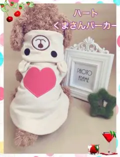 わんちゃんかわいいハートくまさんパーカー
