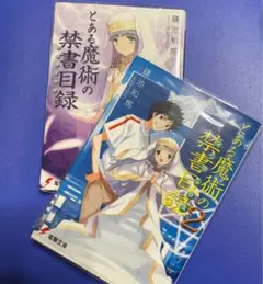 とある魔術の禁書目録（インデックス）　1巻2巻セット　ライトノベル　原作　小説