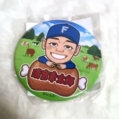 北海道日本ハムファイターズ　似顔絵缶バッチ　清宮幸太郎　ガチャガチャ