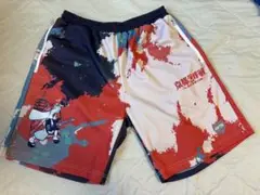 【極美品】京都大作戦2015 バスパン aktr