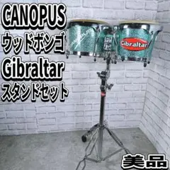 希少　美品　カノウプス　ボンゴ　ジブラルタル　スタンドセット　CANOPUS