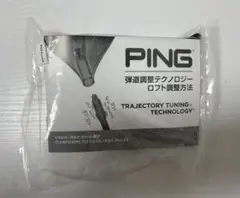 PING ウエイト・レンチ Trajectory Tuning