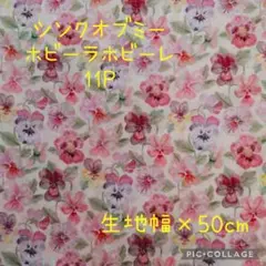 Item thumbnail for item 311a0345-bbb2-45eb-9de8-6d70cc2dc637