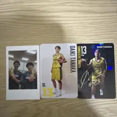 Item thumbnail for item b3ac95cb-3c80-454f-81c5-563ab6707ab9