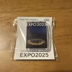 大阪万博　EXPO2025 5月平日限定 ピンバッジ ピンズ　非売品