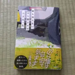 誰も知らない のら猫クロの小さな一生