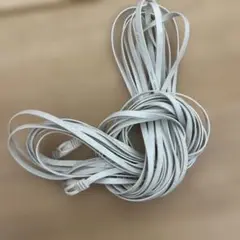 CAT6 ホワイト LANケーブル RJ45