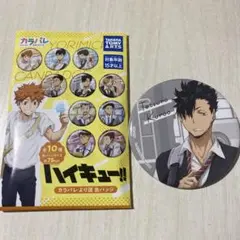 ハイキュー　黒尾鉄朗　缶バッジ　カラパレ