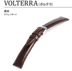 【ダークブラウン】【16㎜】 MORELLATO ボルテラ　テジュ リザード