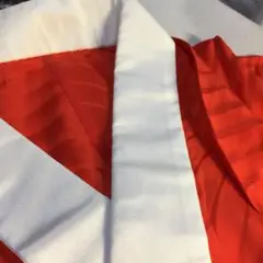 2916.長襦袢 正絹