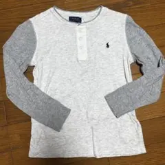 POLO RALPH LAUREN Ｔシャツ