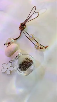 本物の流れ星の粉⭐️✨隕石の粉の瓶　✨御守り✨✨✨✨✨✨✨✨