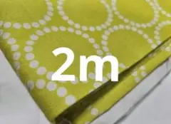 大大大SALE✨見切り品【廃番】USA Fabric サークル柄