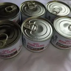 Item thumbnail for item 987ce0e8-026c-4e94-bb47-ec288f600fd7