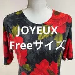 JOYEX 赤い花柄 半袖カットソー F トップス tシャツ 花柄