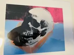 Skull by Warhol