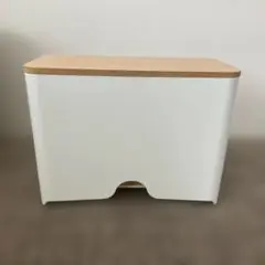 ideaco イデアコ　マスクケース　マルチケース