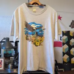 80s USA製 「ARIZONA 」スーベニアtシャツ スクリーンスターズタグ