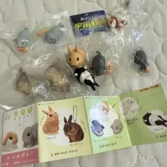 うさぎ好きさん向け ガチャガチャ カプセルトイ