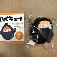 ハイキュー　くるみたぴぬい　宮侑
