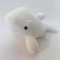 名古屋港水族館限定 白シャチ ぬいぐるみ アルビノ レアくじ