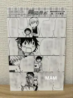 純情ロマンチカ 16巻 DVD付き 特装版 特典 漫画 カード