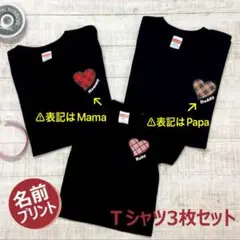 Item thumbnail for item 8184693e-d4db-42d5-9e0f-2006784682e8