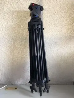 Item thumbnail for item e0ed559c-451e-4289-9018-f2b187485c17