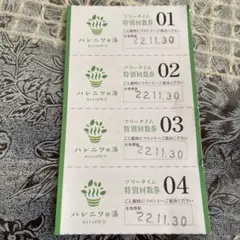 ハレニワの湯 フリータイム特別回数券