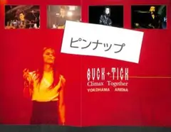 05 BUCK-TICK バクチク 櫻井敦司 付録 両面ピンナップ 検 ポスター