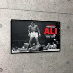 額装済/モハメド アリ 対 ソニー・リストン/アーティスト不明