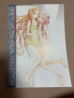 ギルティクラウン ビジュアルコレクション　※やや汚れあり　ポスター無し